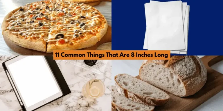 11 Common Things That Are 8 Inches Long