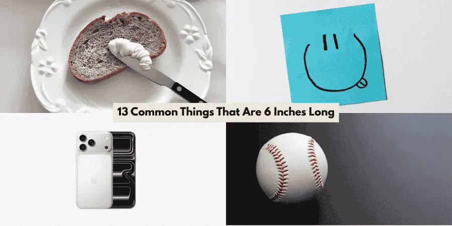 13 Common Things That Are 6 Inches Long