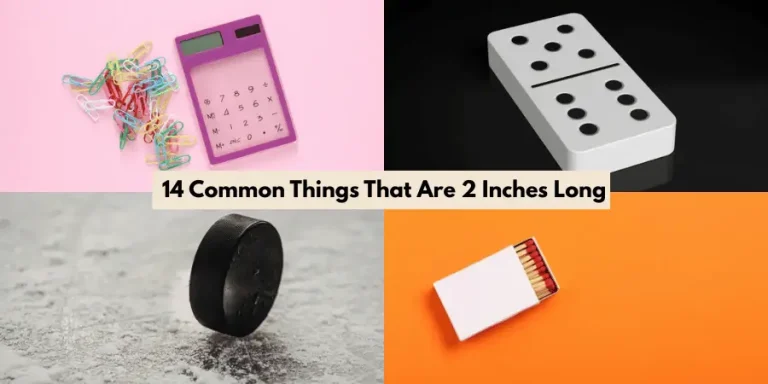 14 Common Things That Are 2 Inches Long