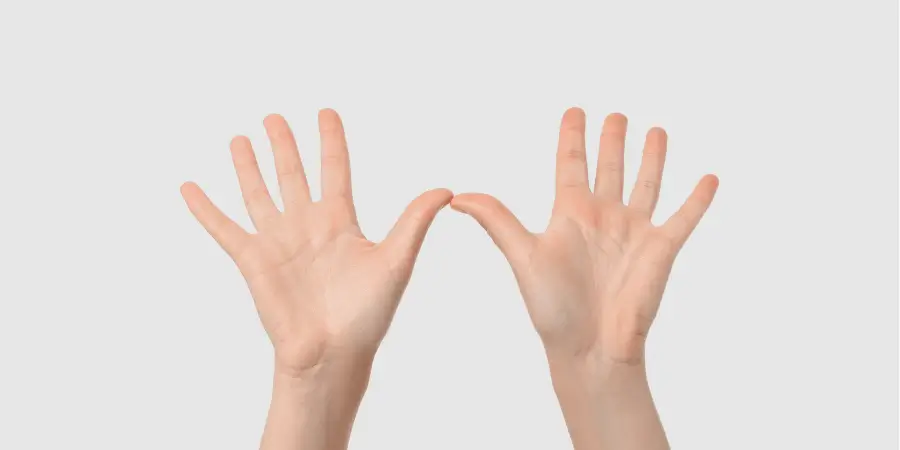 Two open human hands facing forward showing palm size, helpful natural reference for estimating length and dimensions visually
