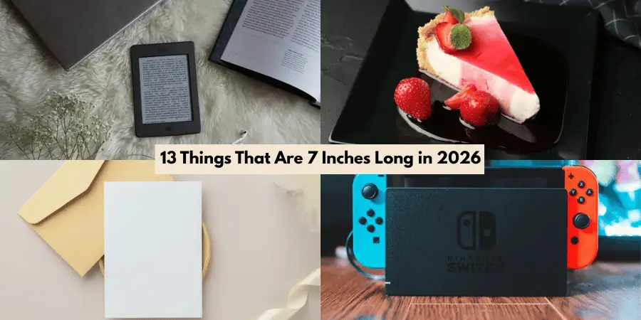 13 Things That Are 7 Inches Long in 2026