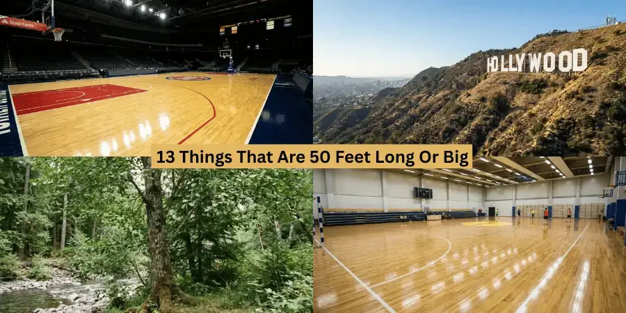 13 Things That Are 50 Feet Long Or Big