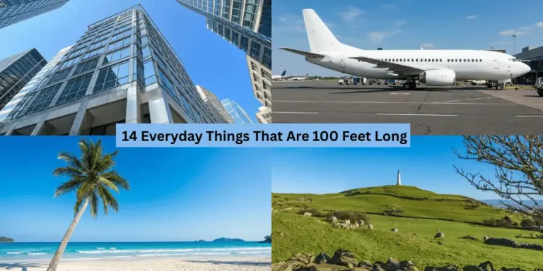 How Long Is 100 Feet? 14 Everyday Objects That Show You
