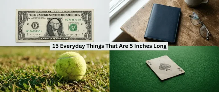 15 Everyday Things That Are 5 Inches Long