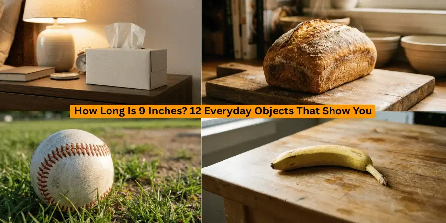 How Long Is 9 Inches? 12 Everyday Objects That Show You