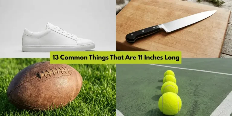 13 Common Things That Are 11 Inches Long