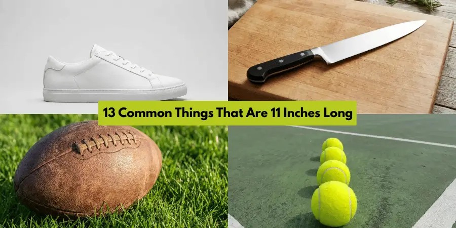 13 Common Things That Are 11 Inches Long