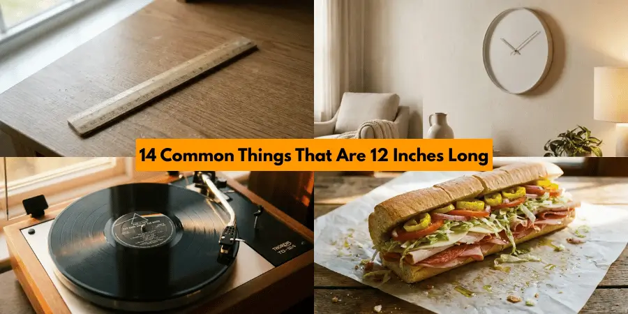 14 Common Things That Are 12 Inches Long