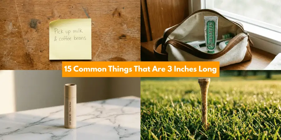 15 Common Things That Are 3 Inches Long